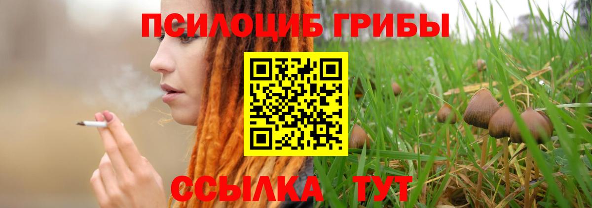 Псилоцибиновые грибы прущие грибы  Вход с VPN  Соль-Илецк 